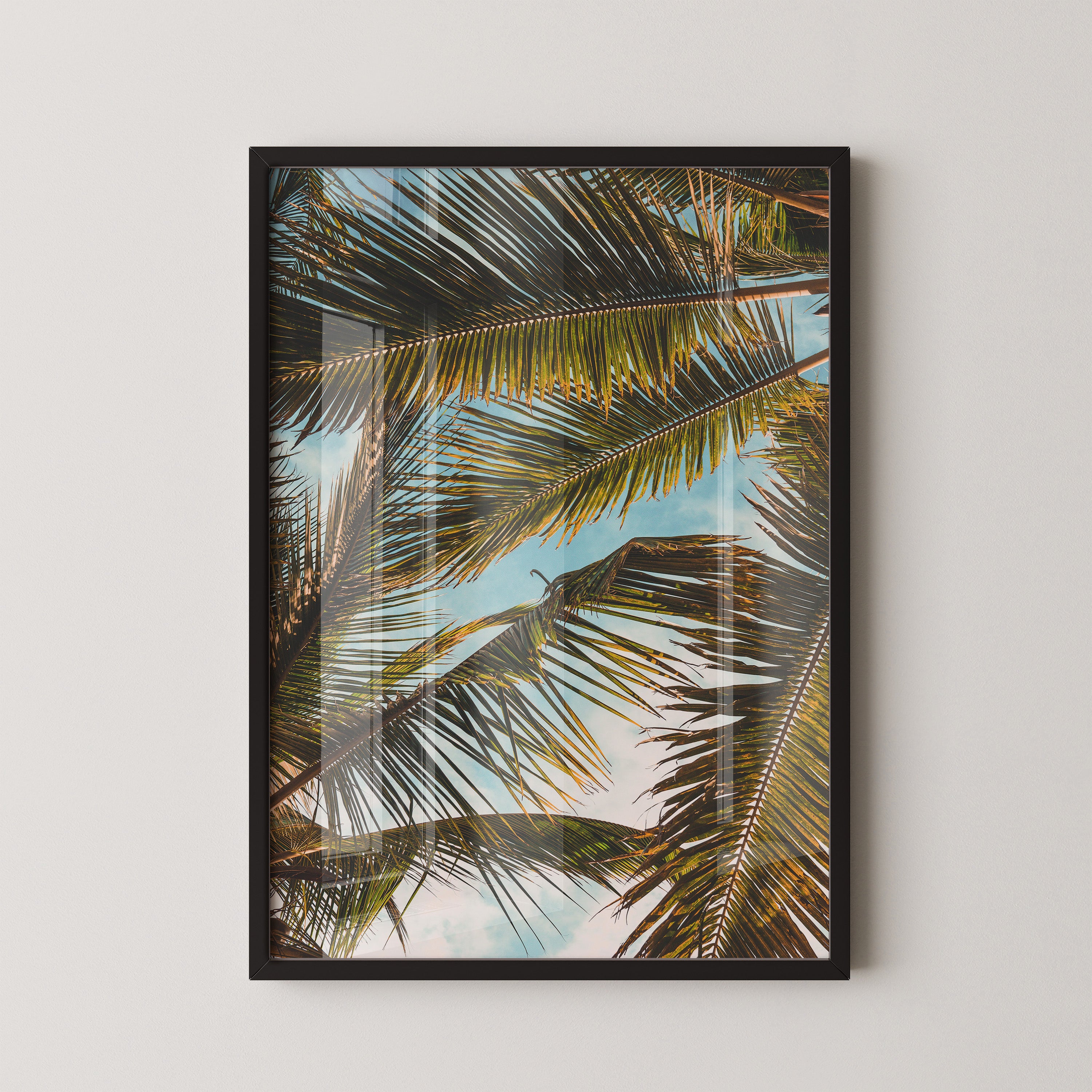 Palm Overhead