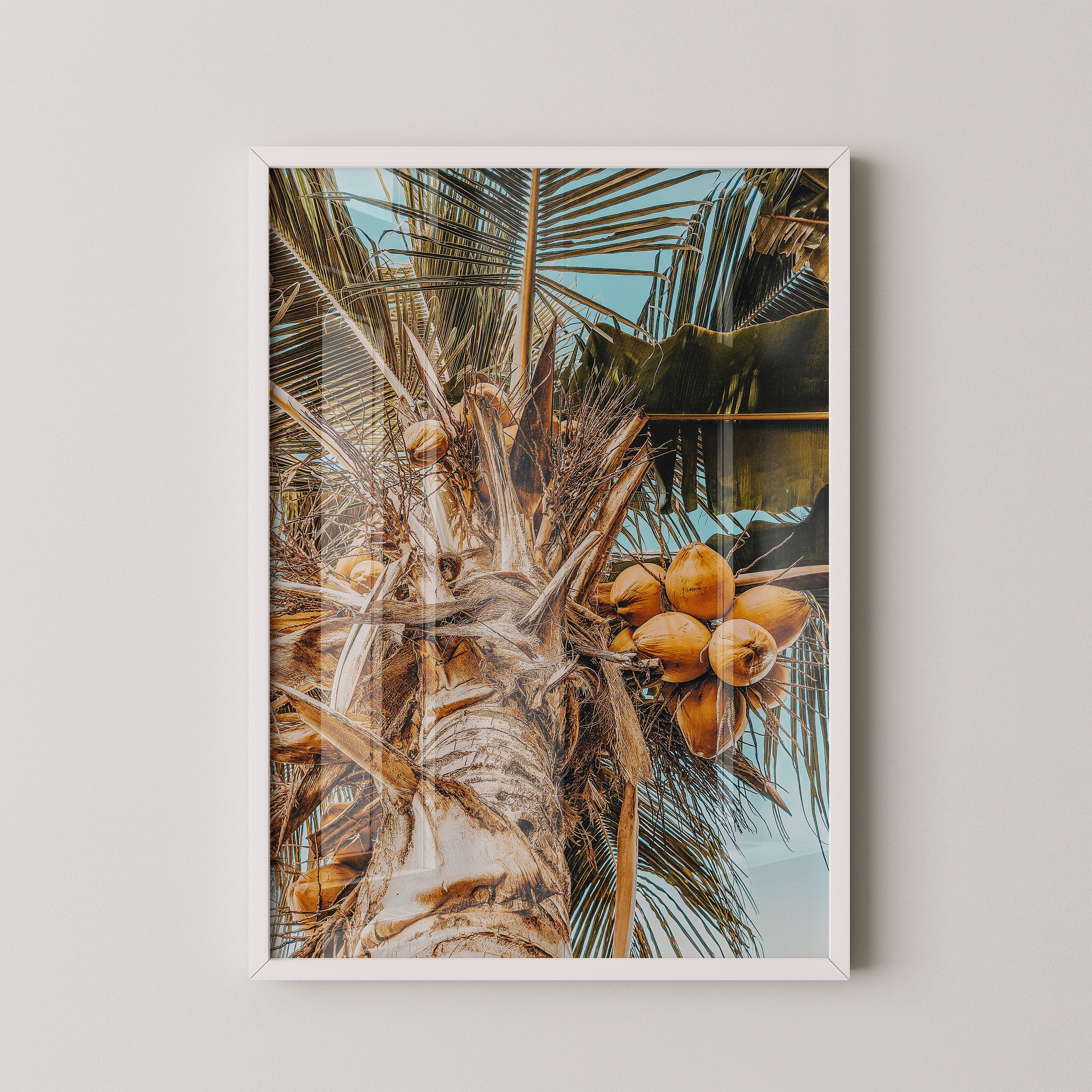 Coconut Breeze