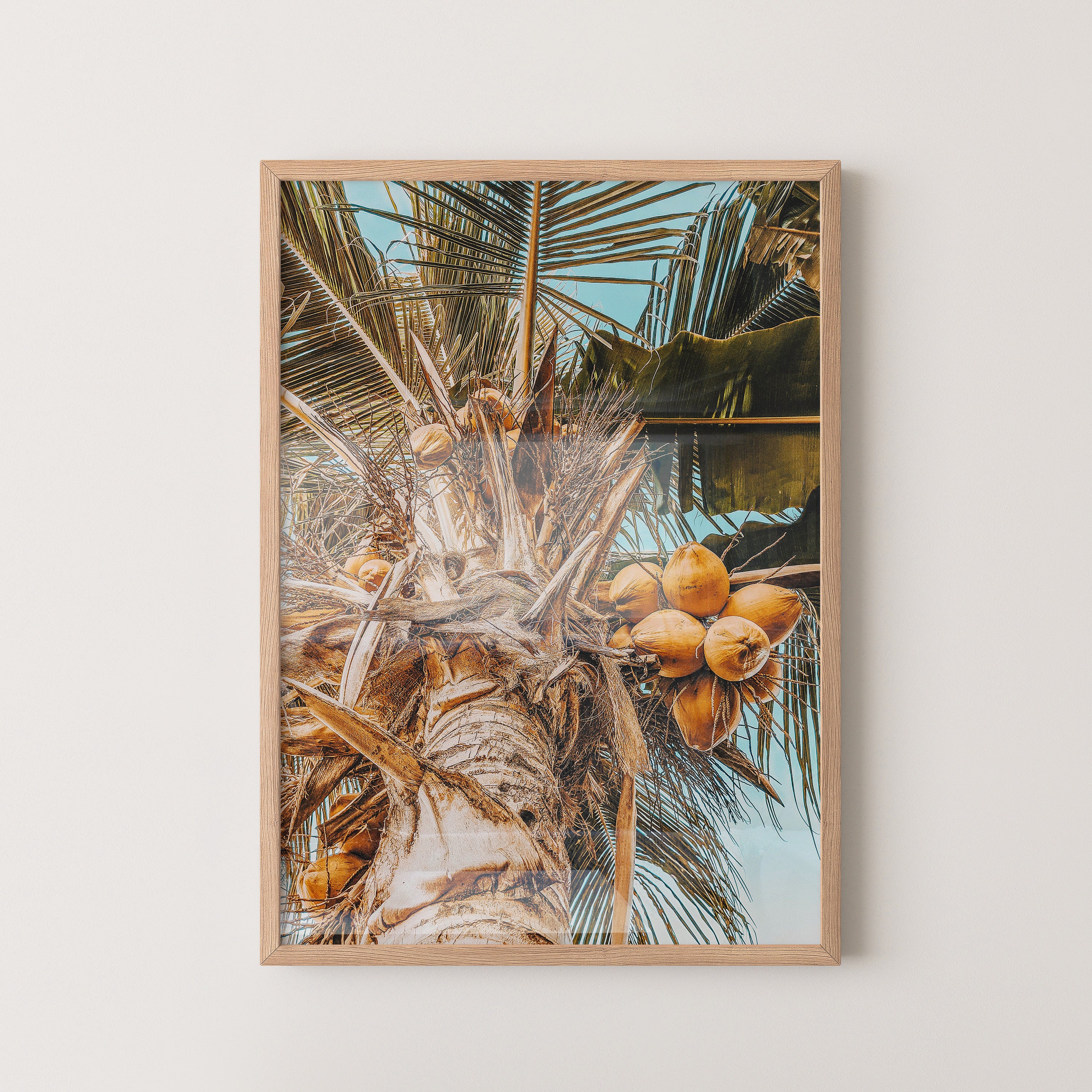 Coconut Breeze