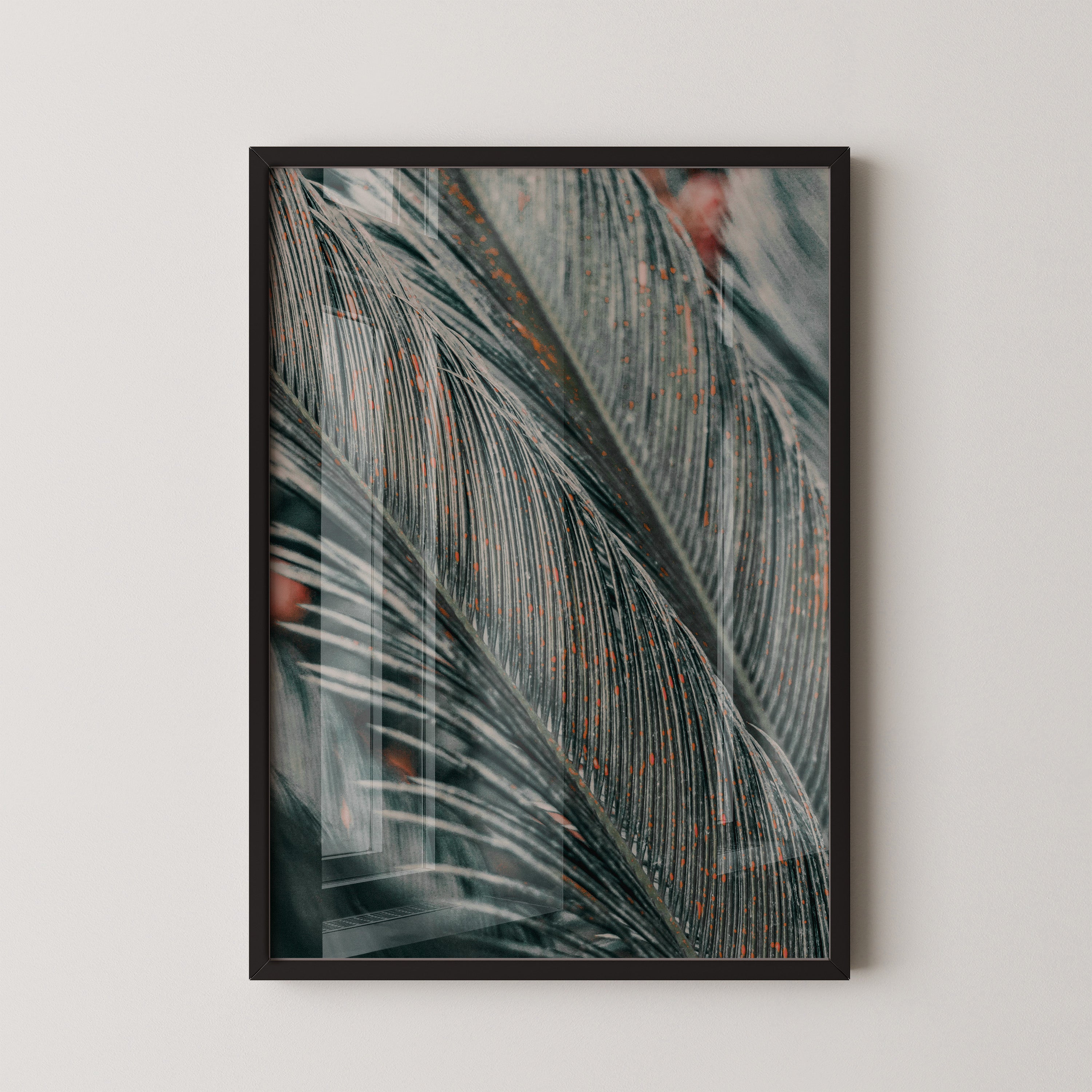 Palm Texture