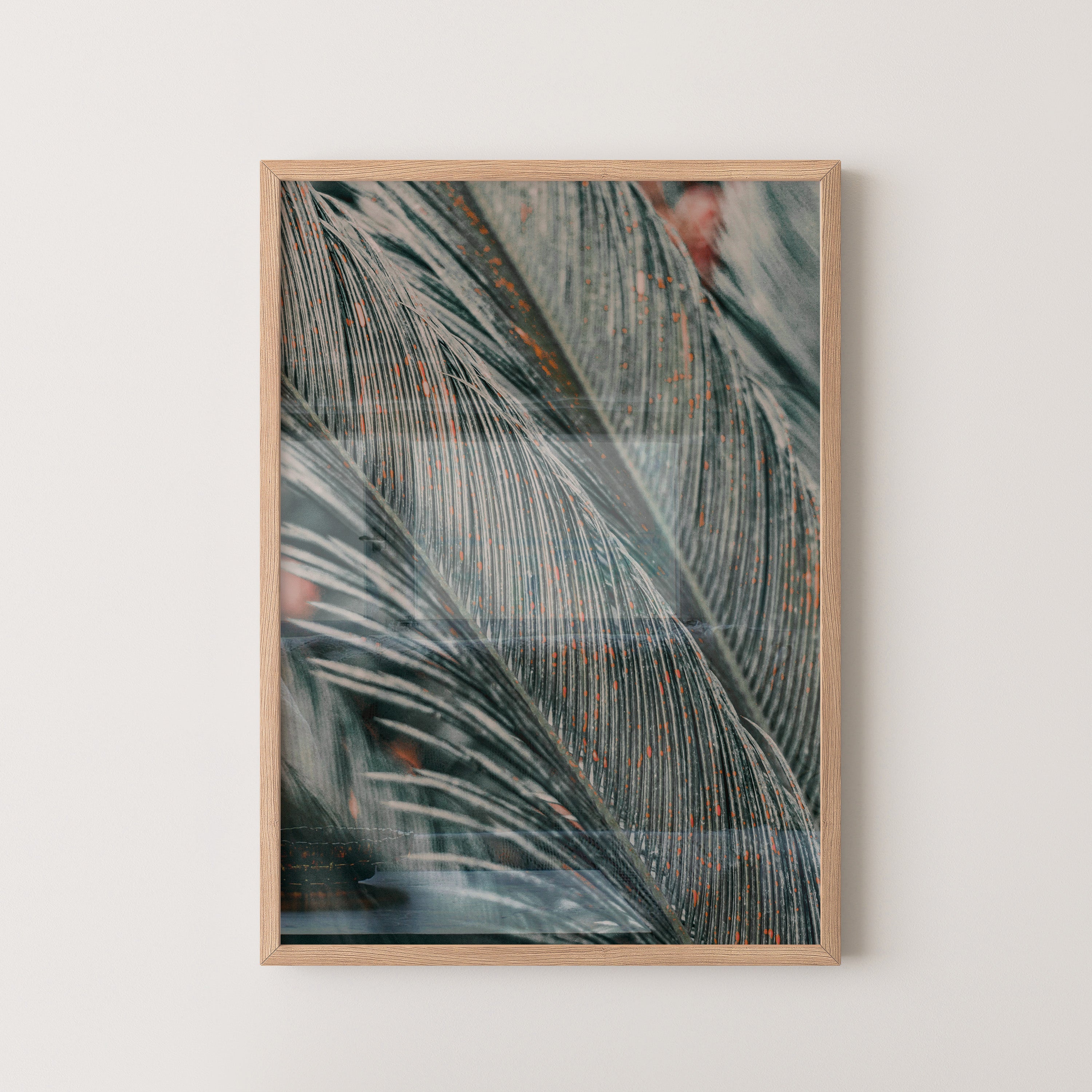 Palm Texture