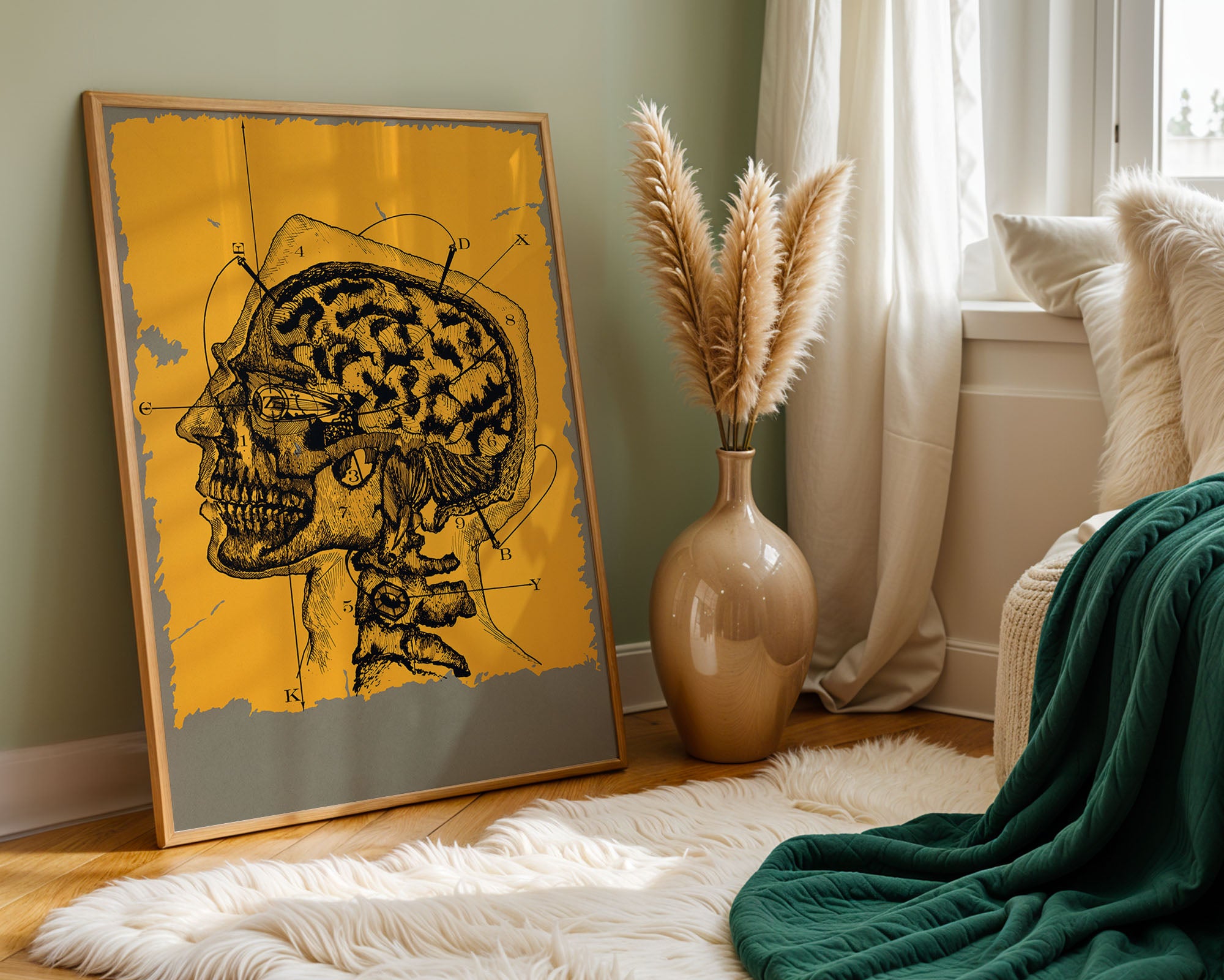 Anatomy Of Thought