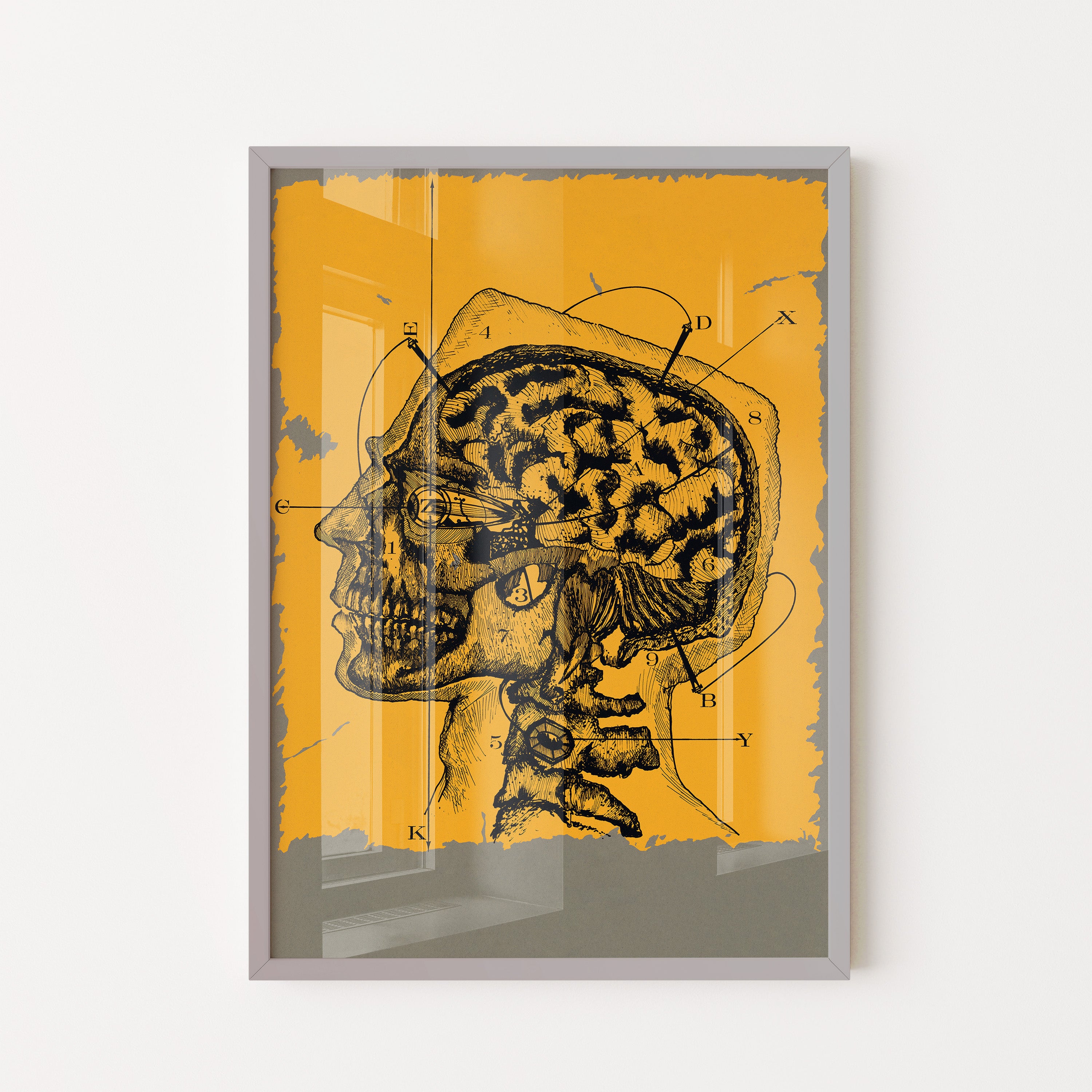 Anatomy Of Thought