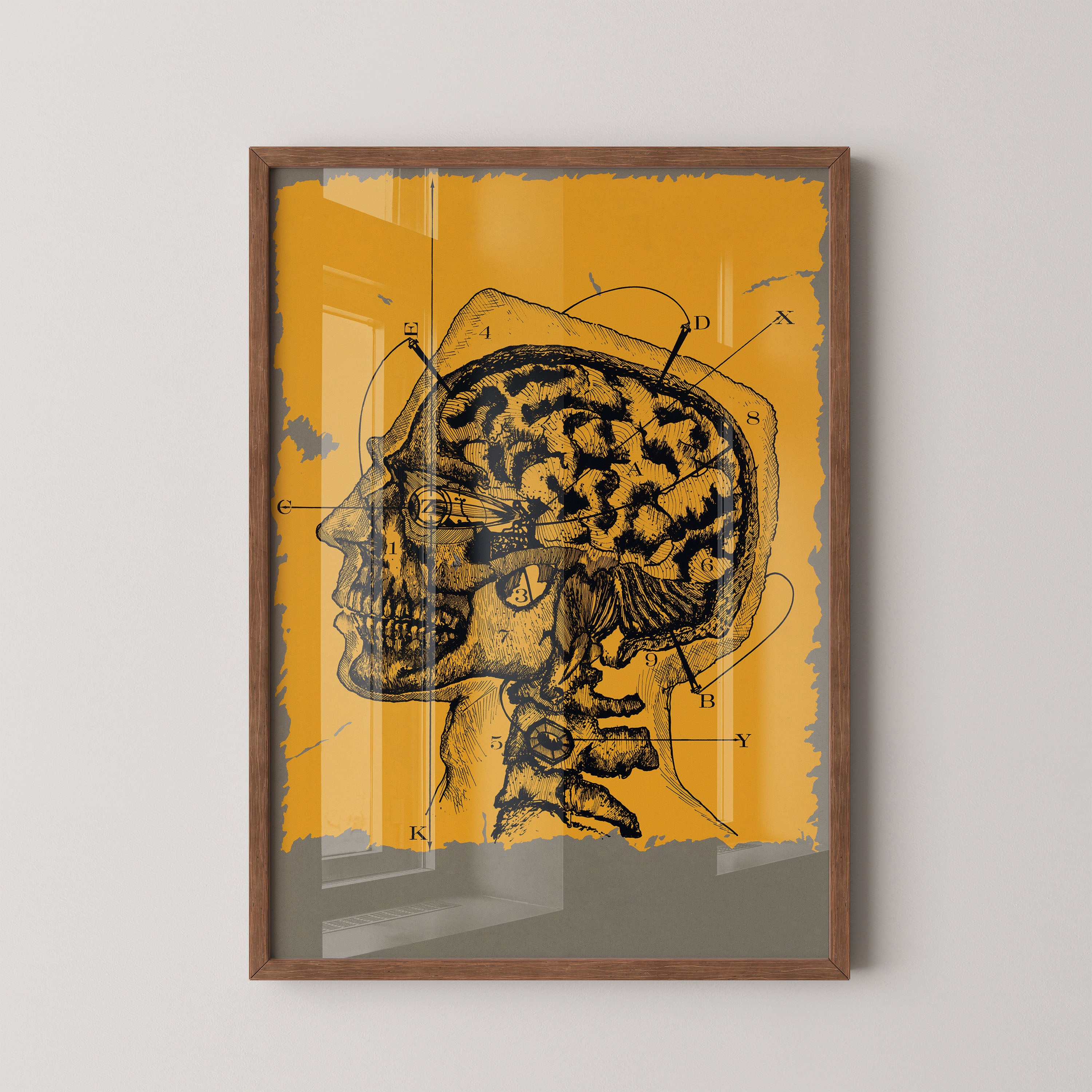 Anatomy Of Thought
