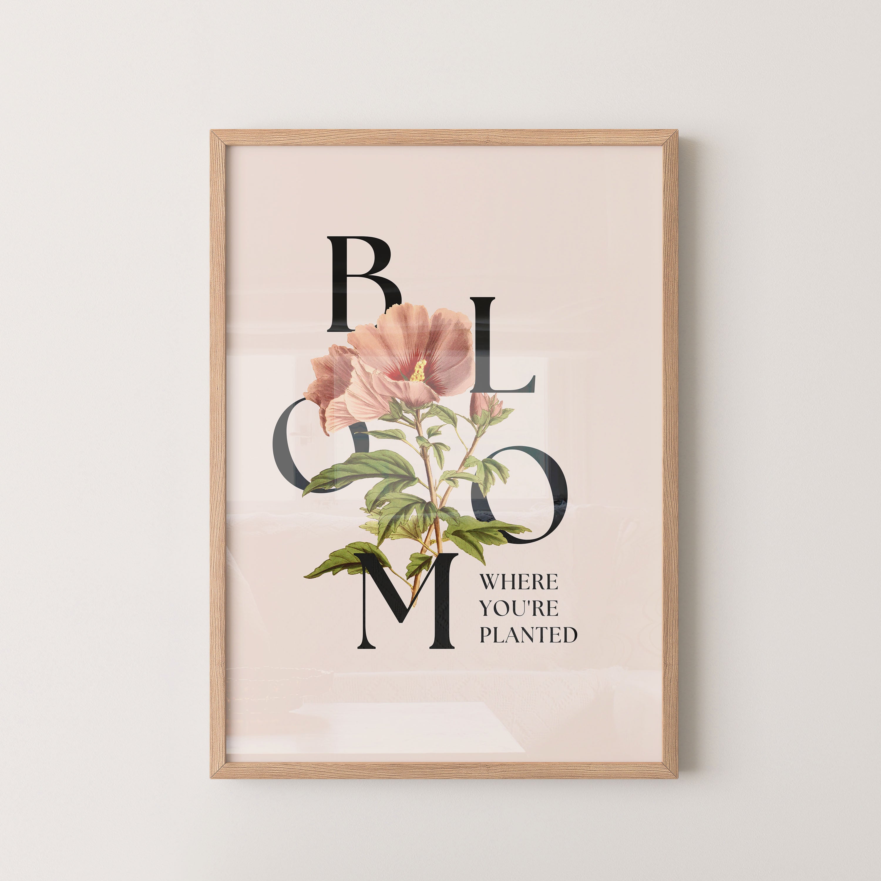 Petal Serif Harmony