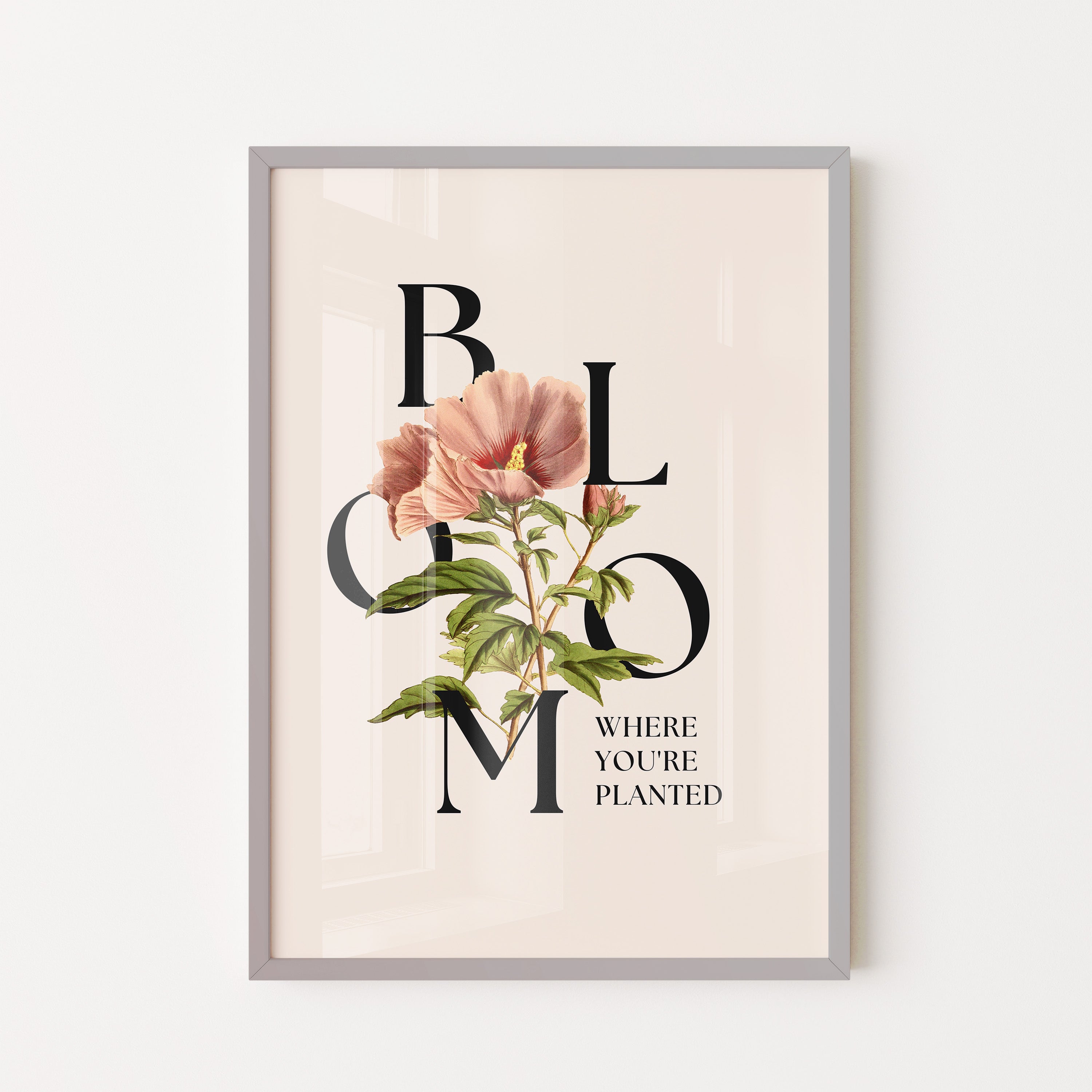 Petal Serif Harmony