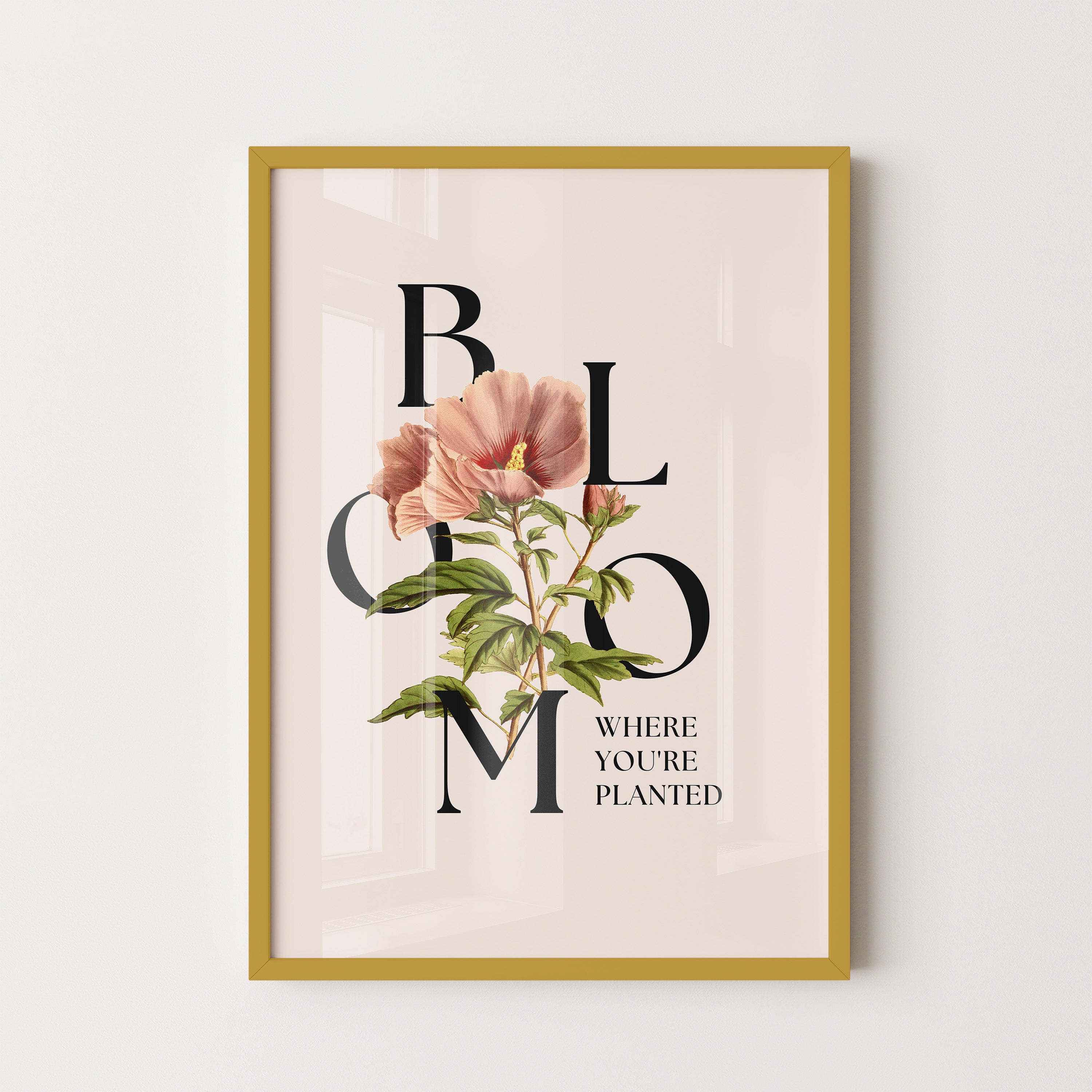 Petal Serif Harmony