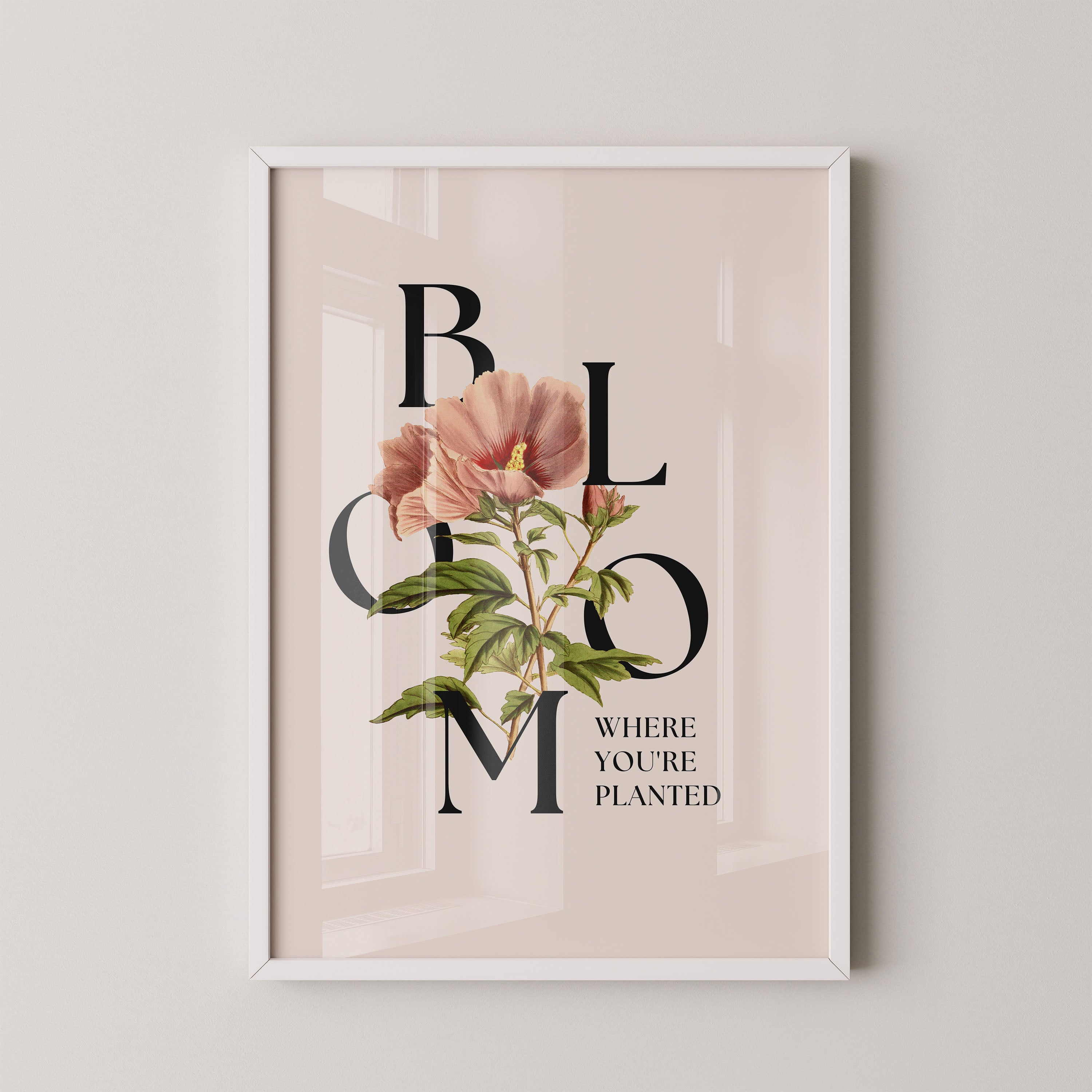 Petal Serif Harmony